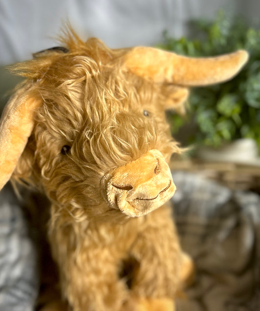 Jumbo Highland Cow