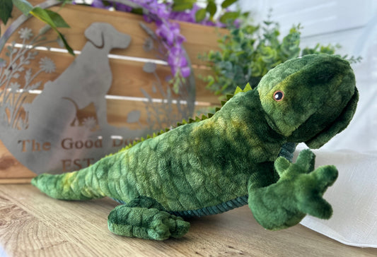 Lionel Lizard