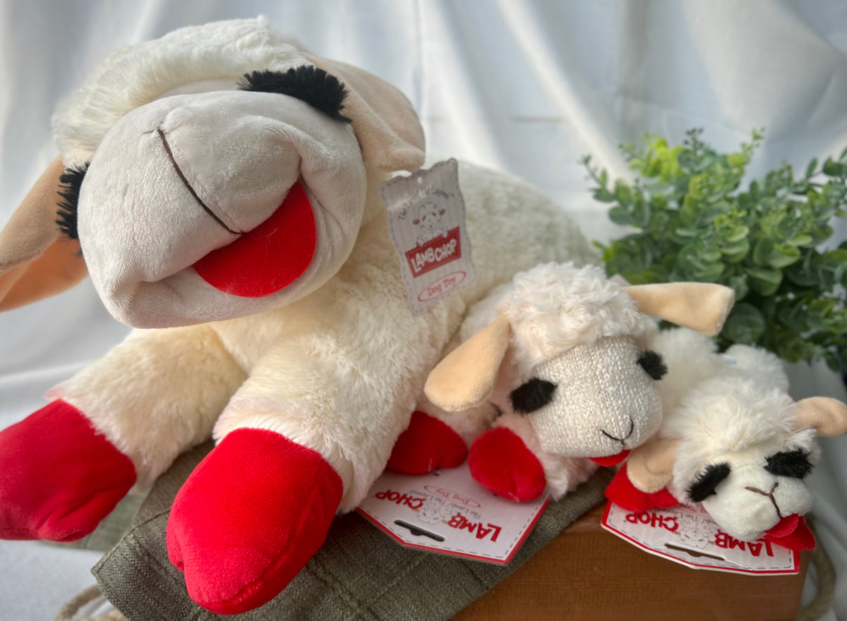 Lamb Chop
