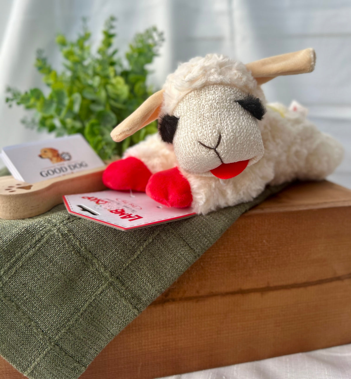 Lamb Chop