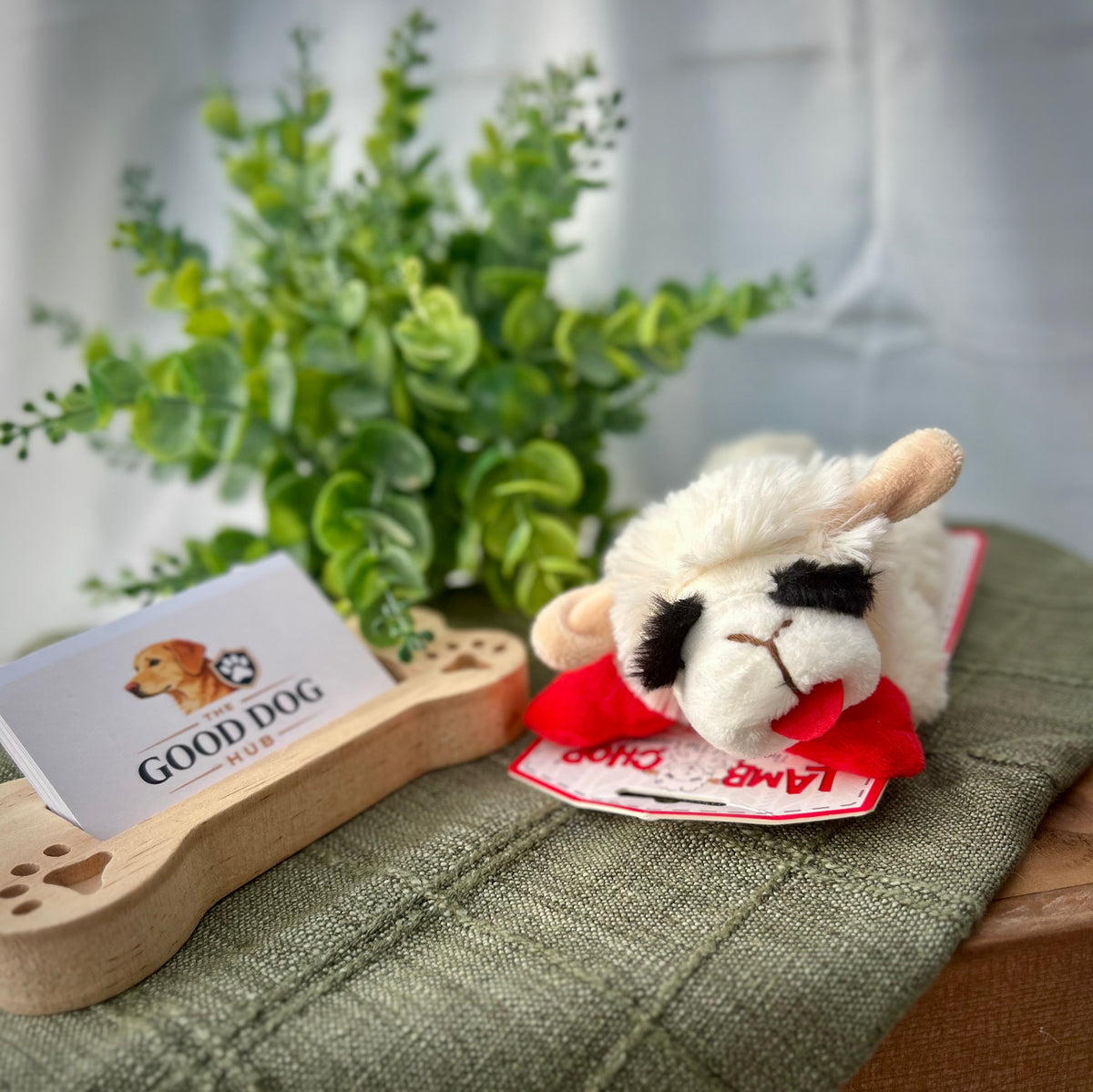 Lamb Chop