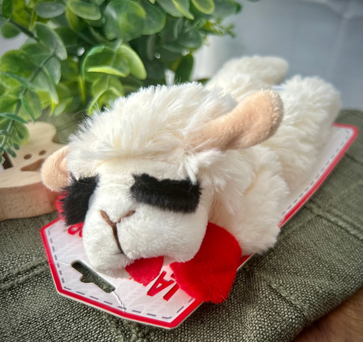 Lamb Chop