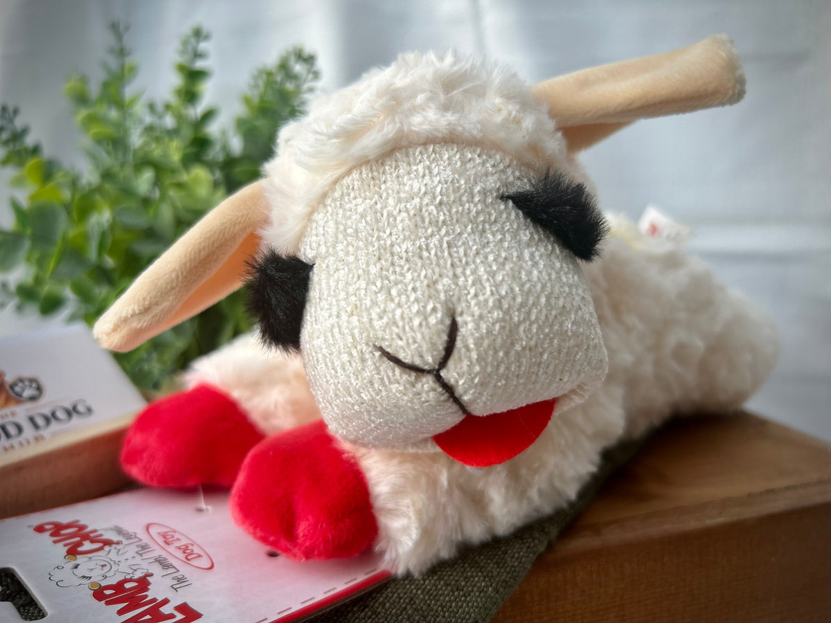 Lamb Chop