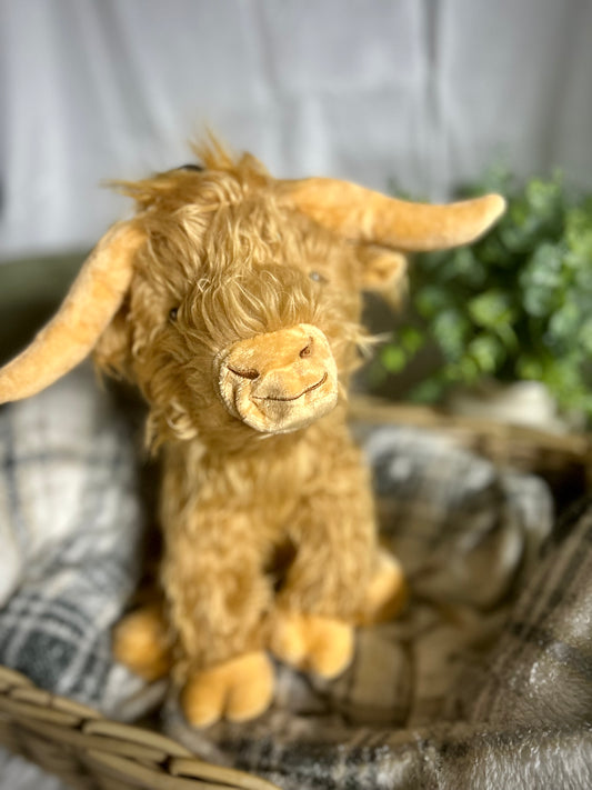 Jumbo Highland Cow