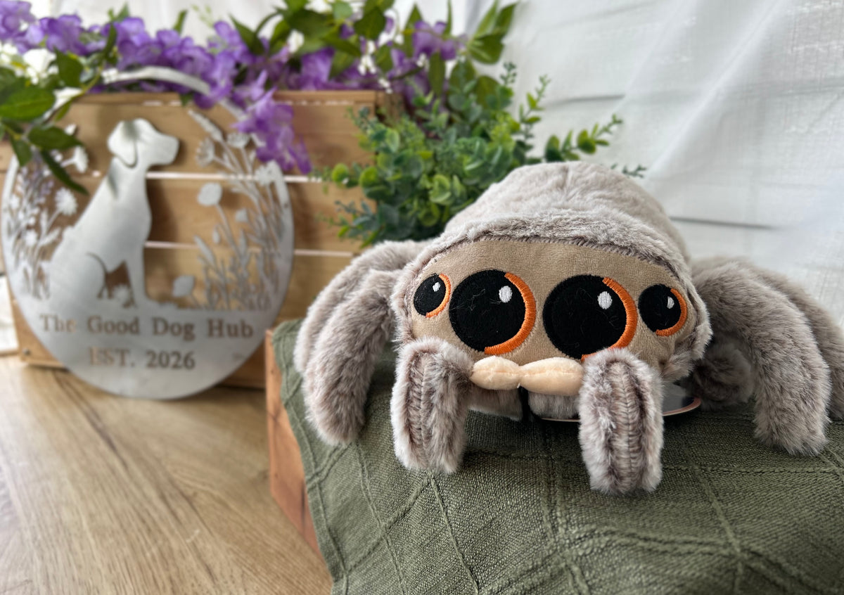 Sid The Spider