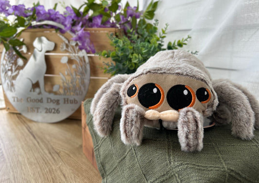 Sid The Spider