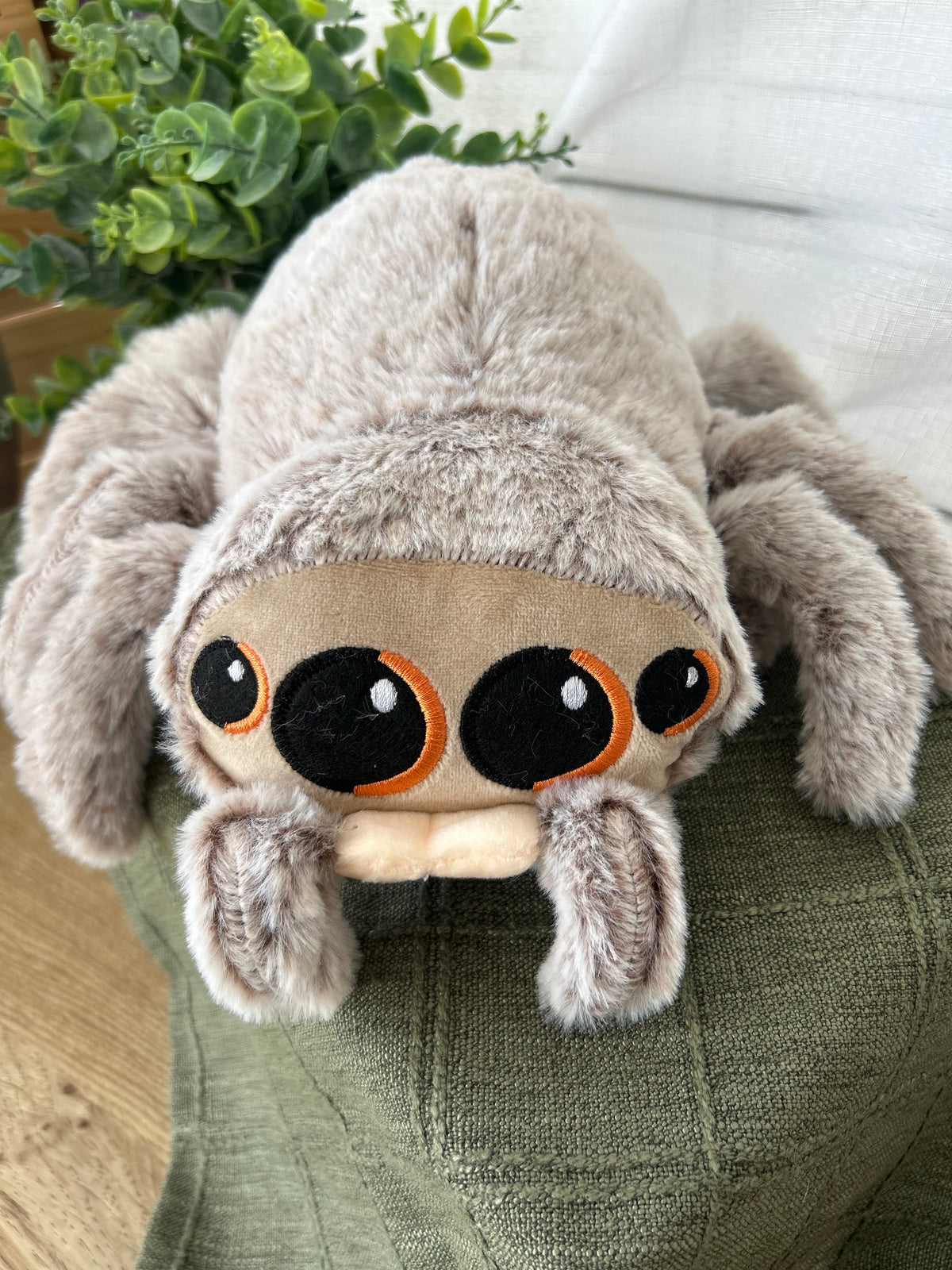 Sid The Spider