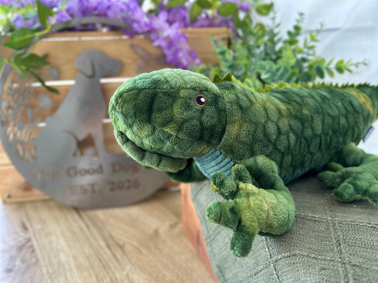 Lionel Lizard