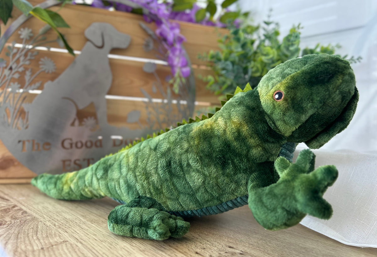 Lionel Lizard