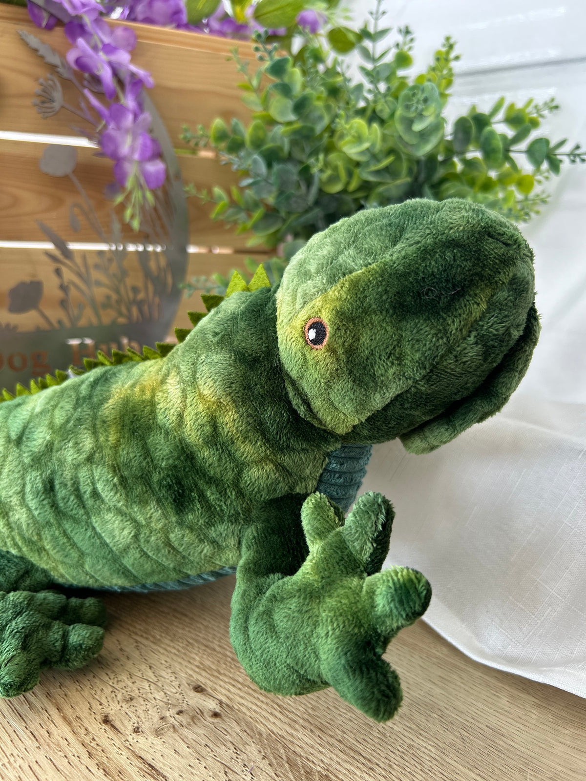 Lionel Lizard