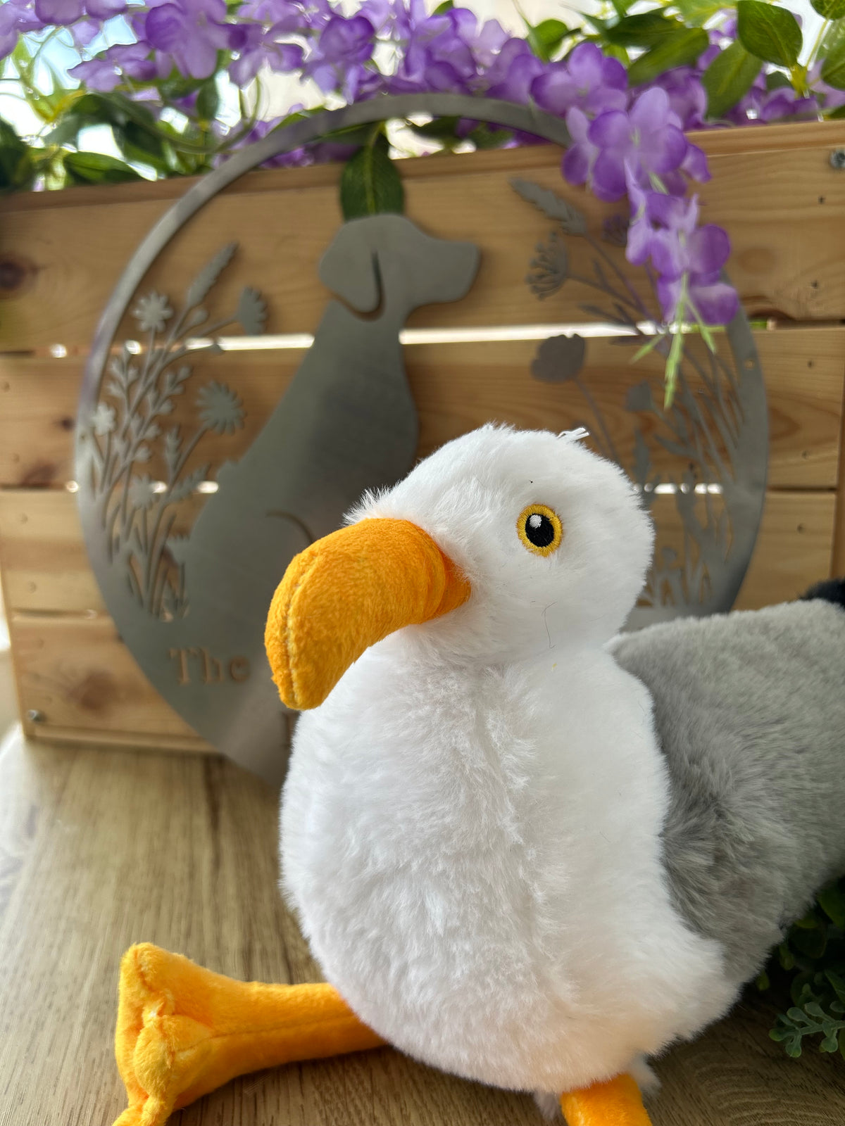 Made From- Seagull