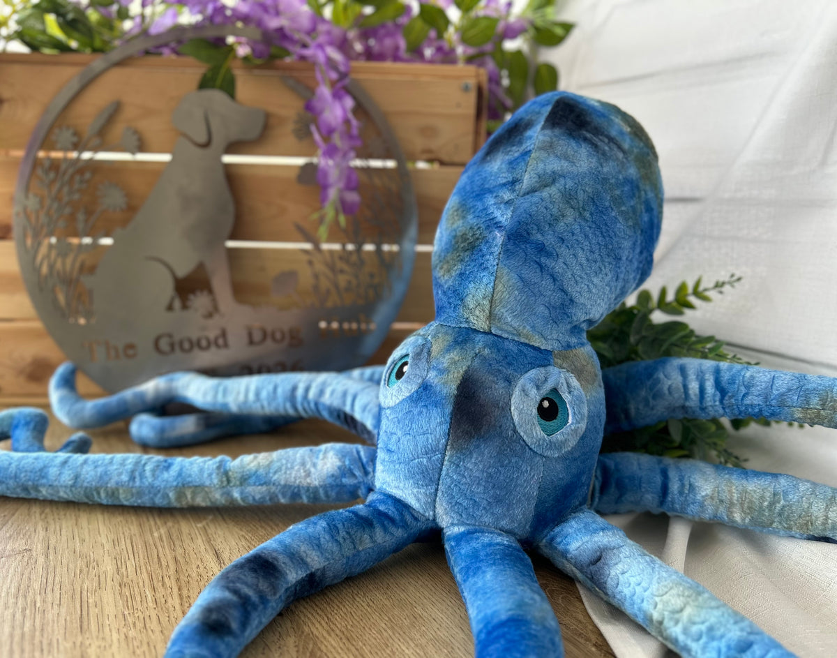 Phil the Kraken