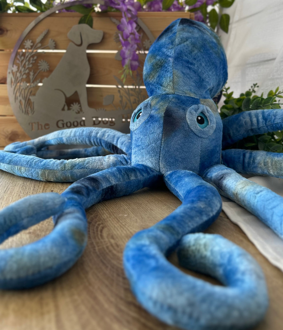 Phil the Kraken