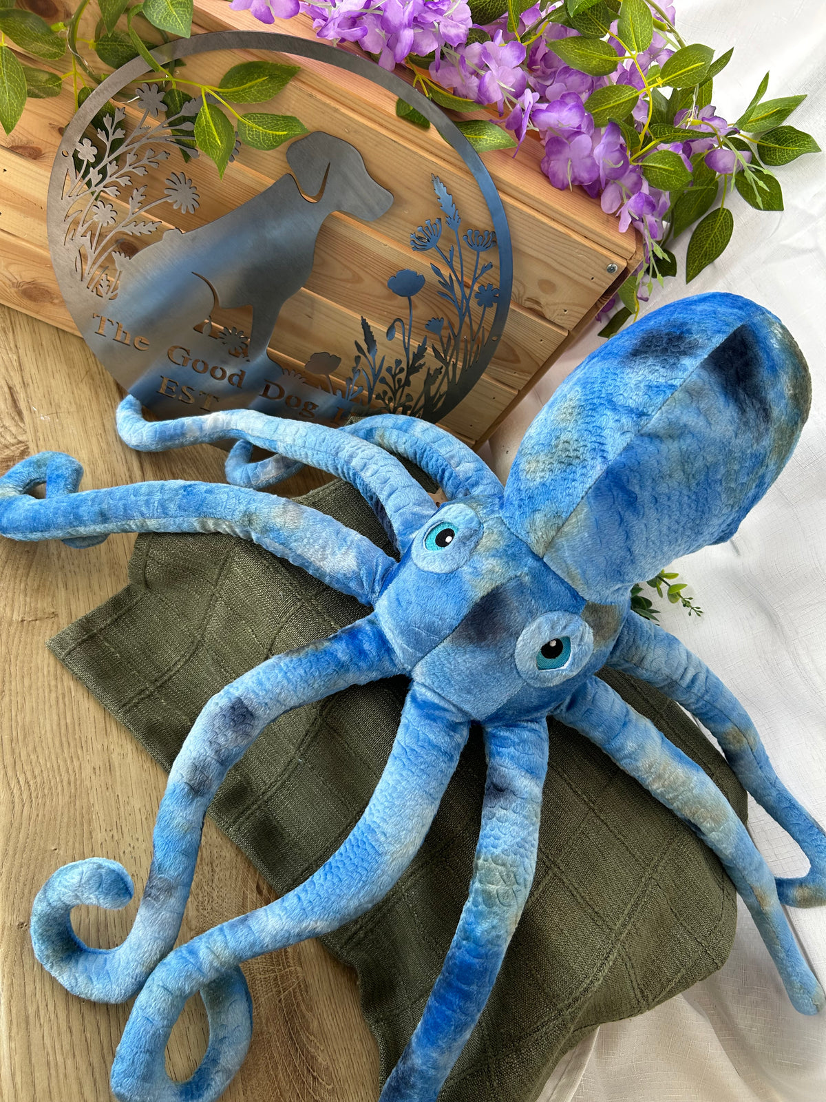 Phil the Kraken