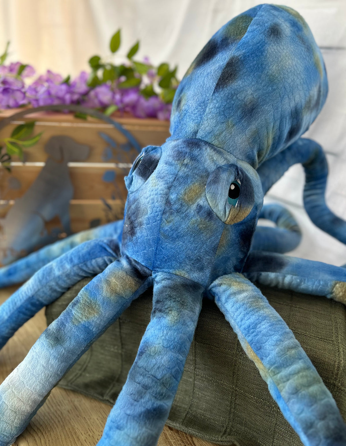 Phil the Kraken