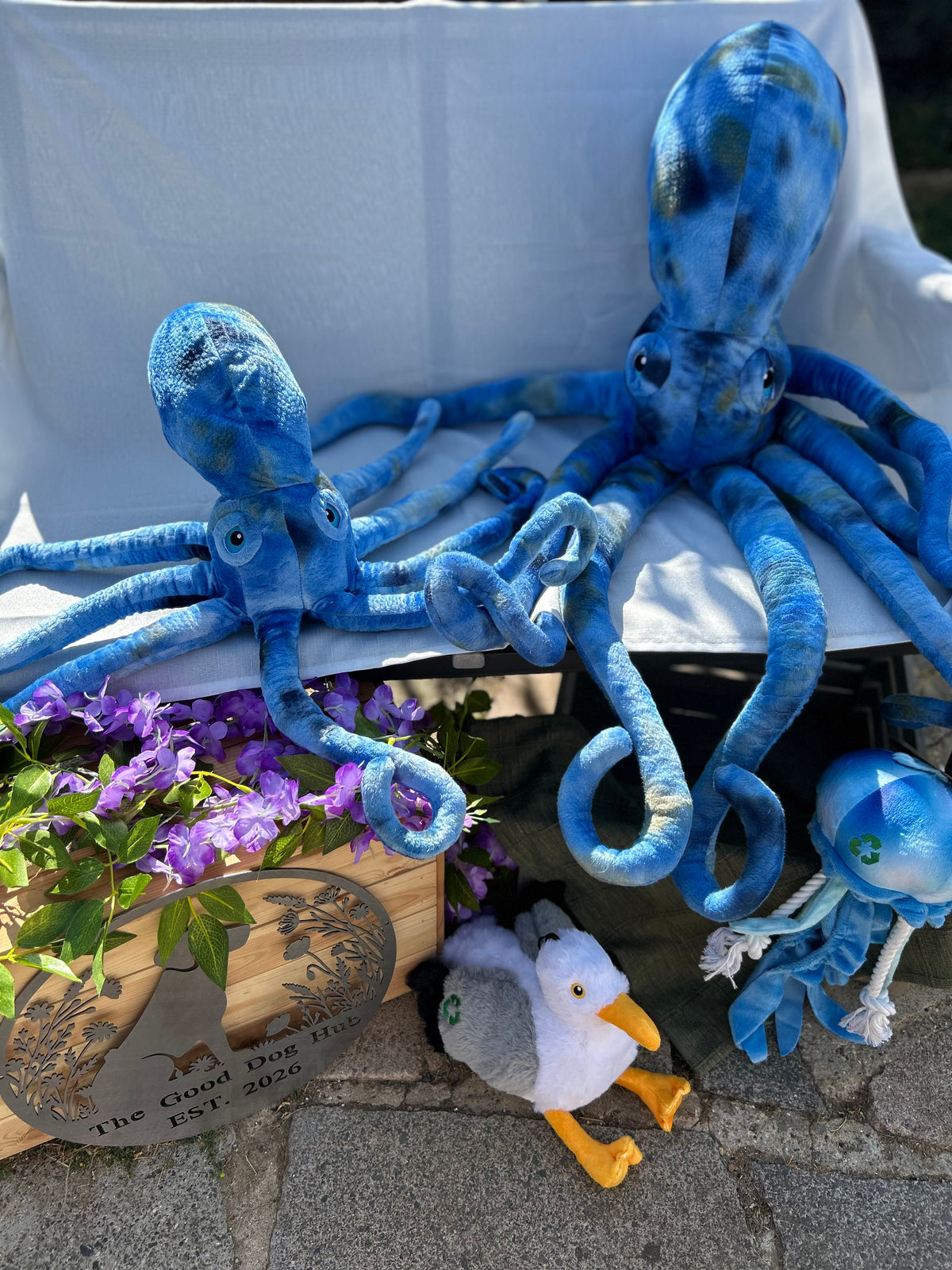 Phil the Kraken