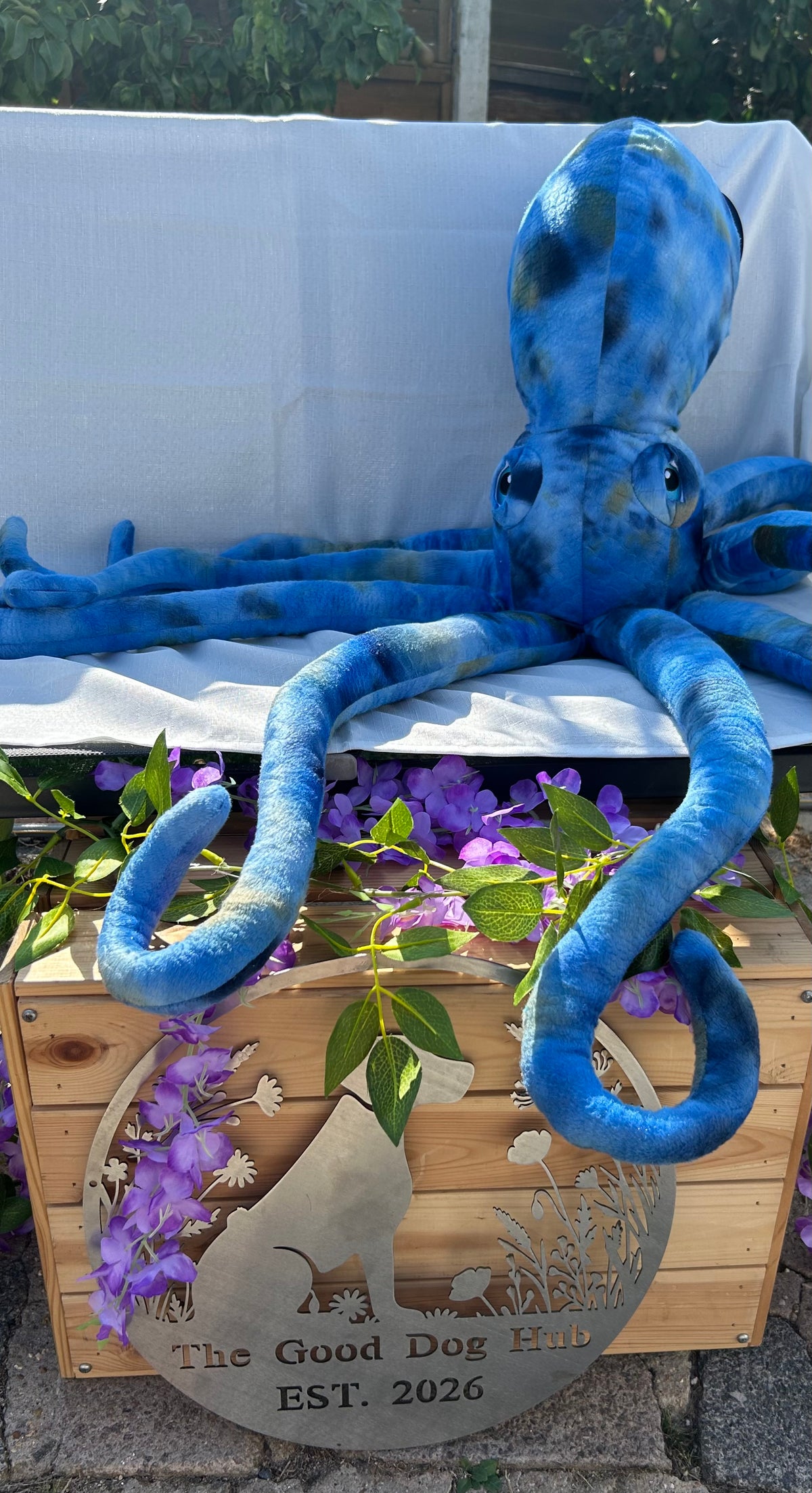 Phil the Kraken